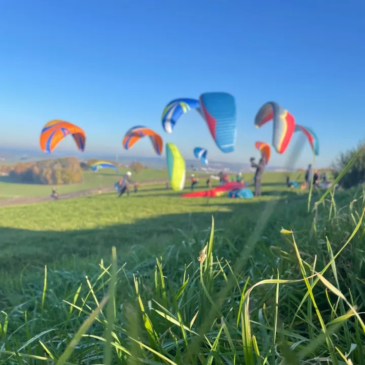 @paraglidingfreedom