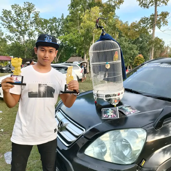 @febribridshop
