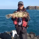 @a59596