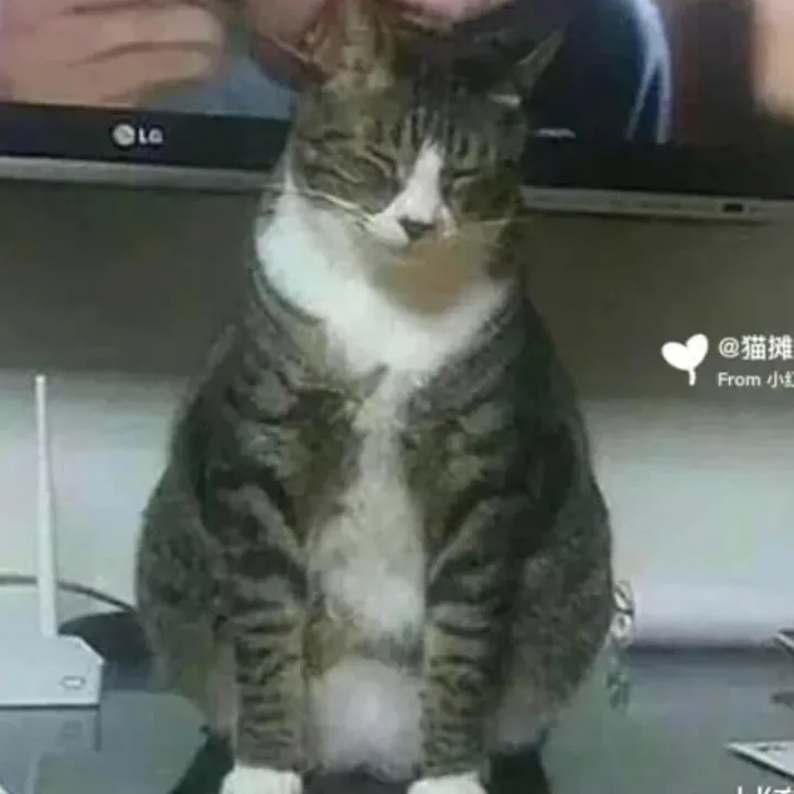 nala2022_