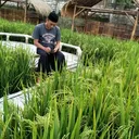 @arief_bamzbank