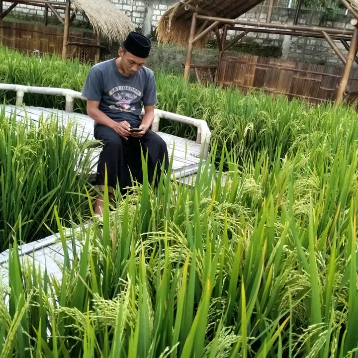 @arief_bamzbank