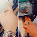 @jeajan1