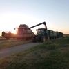6810philipp