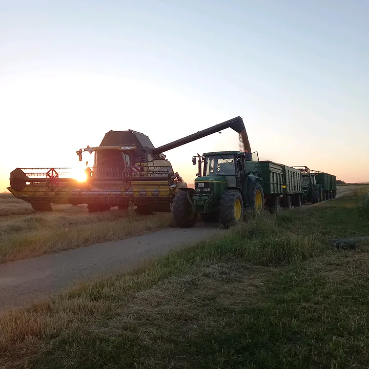 6810philipp