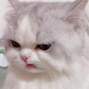 @juuuuuuuu_l