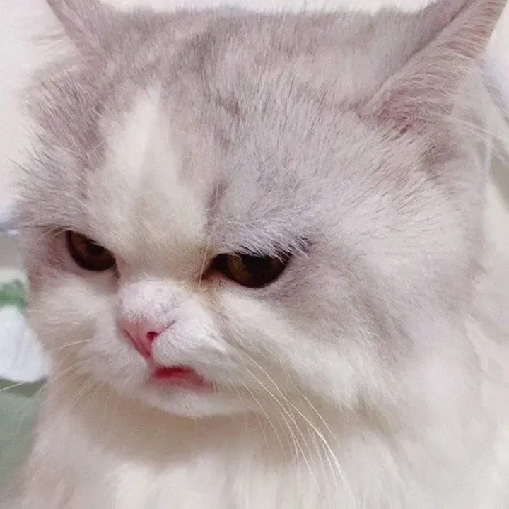 @juuuuuuuu_l