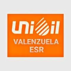 unioilpasodeblas