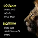 @vishvaflash