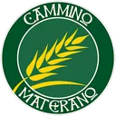 @camminomaterano