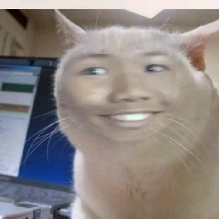@nongohm1106