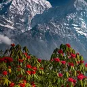 @sunilkumarpppp