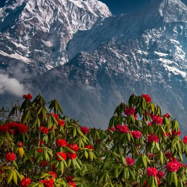 @sunilkumarpppp