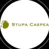 stupacaspeadecor