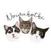 nowakotki