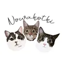 @nowakotki