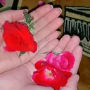 @mdmehar44
