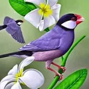 @warpaybwar3