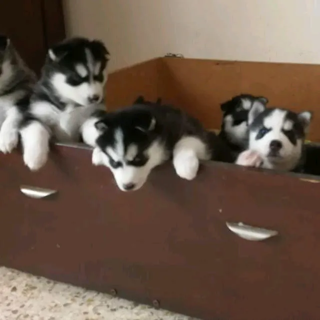 @angelagarciagarc