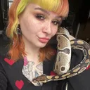 @pumpkinspals