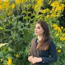 @nayiarasoo1.co.uk