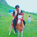 @waseemsajjad7125