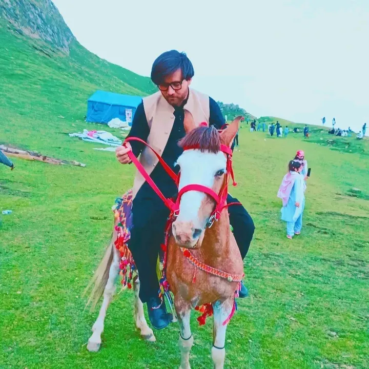 waseemsajjad7125