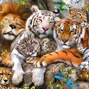 @bakwananimals