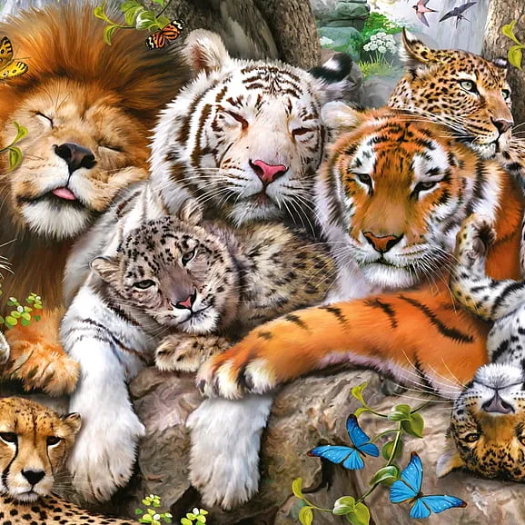 @bakwananimals