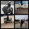 equestrian_hastliv