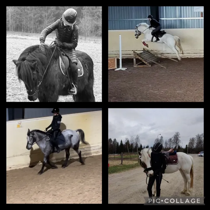 @equestrian_hastliv