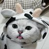 kimbapcat