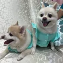 @yaanikm03