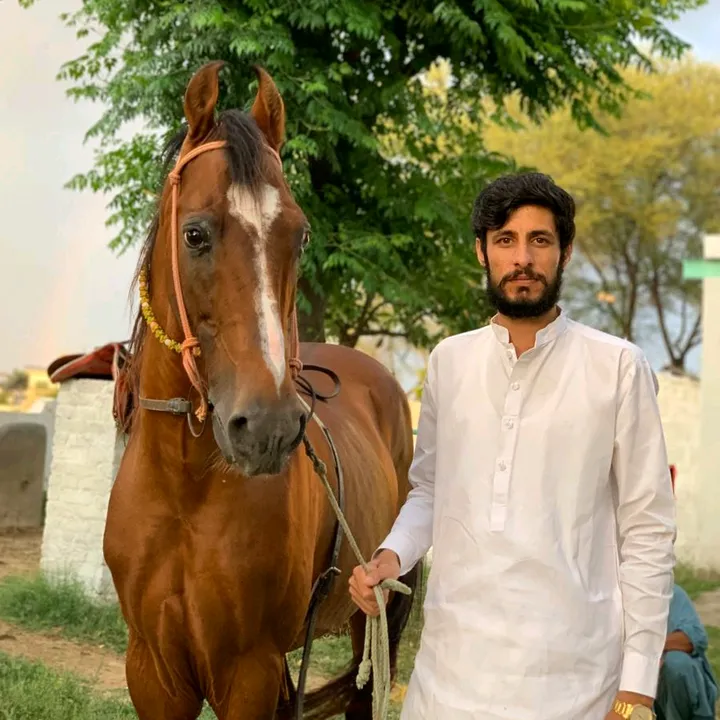 malikshoaibkhan550