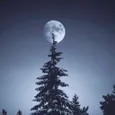 @lostmoonn