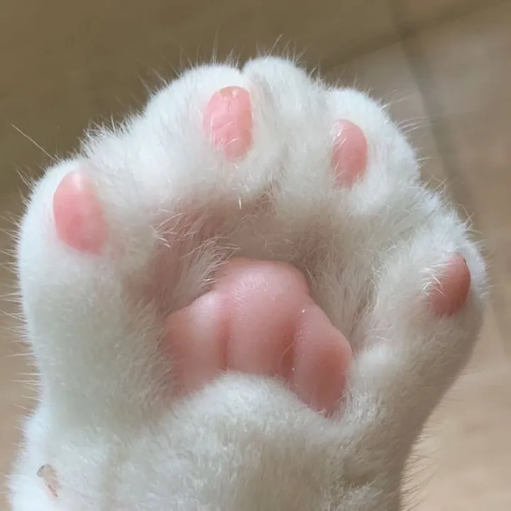 nammyatnoesan