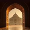 indiabulbul