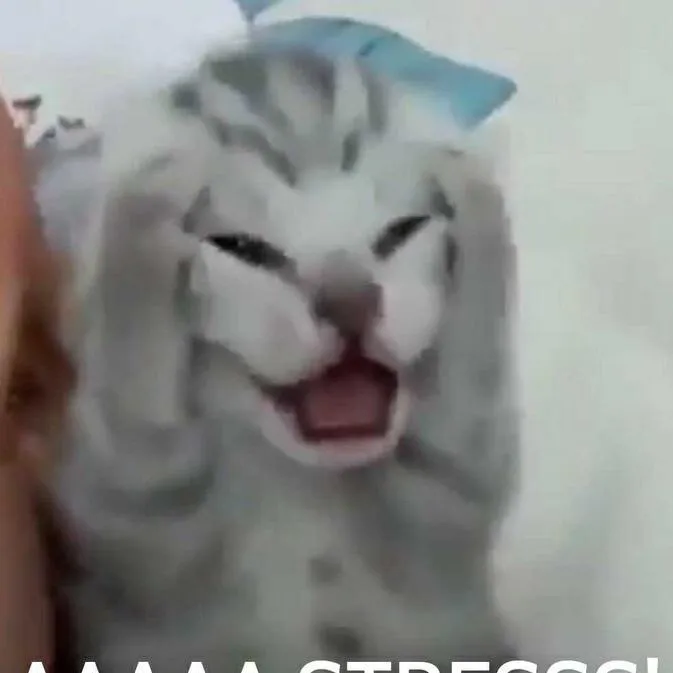 jeonchweries