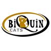 biquin.cats