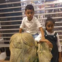 @s.t.najeemudeen.po