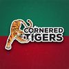 tigerscornered