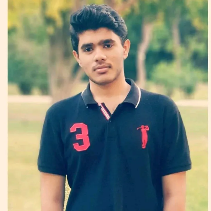 syed_zia_najmi