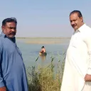 @aslamformangolarv