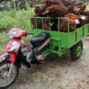@zainuddinzaitu