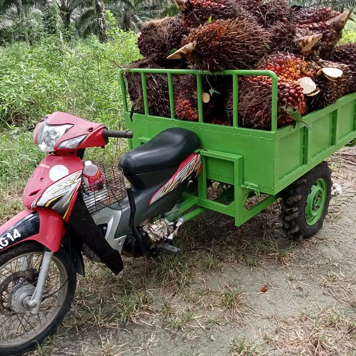 zainuddinzaitu