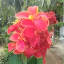 @user6596688119039