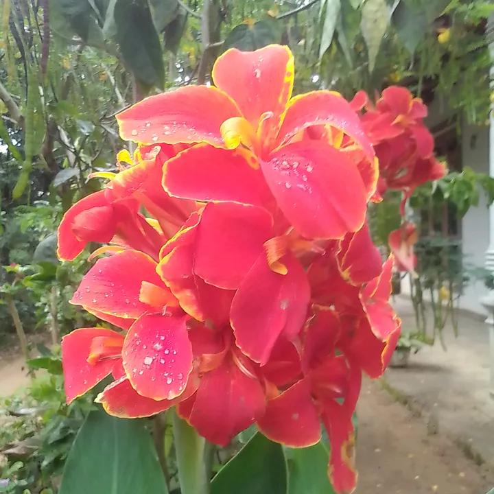 @user6596688119039