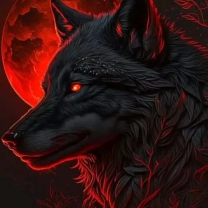 hcincinunu