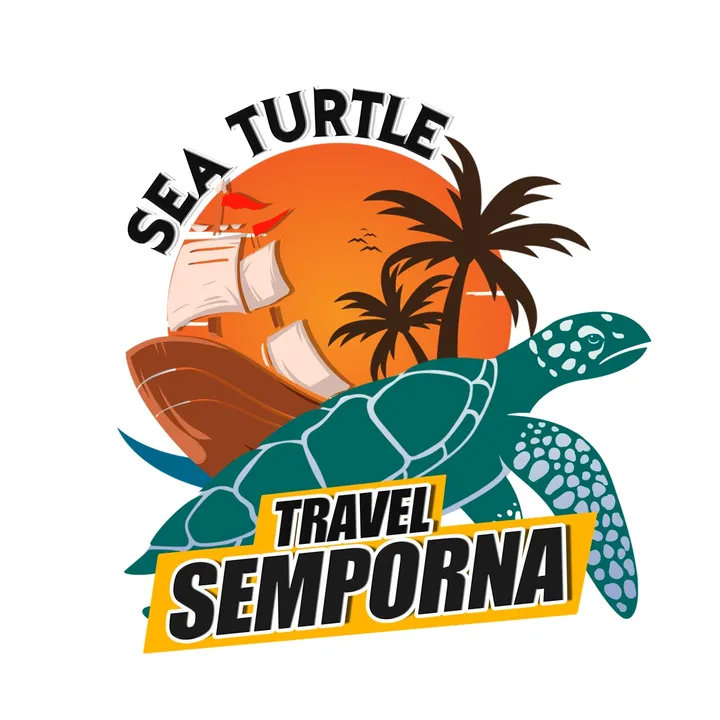 @seaturtle_travel