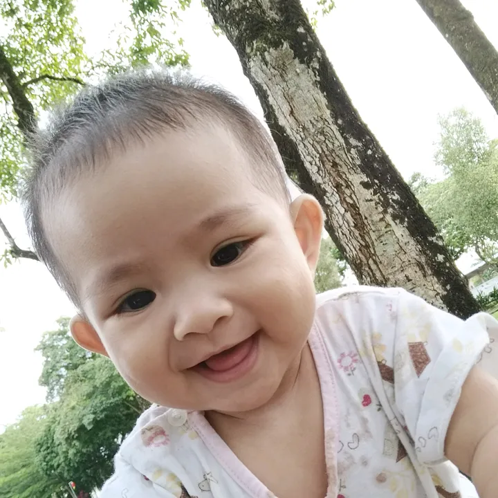 rimajohari